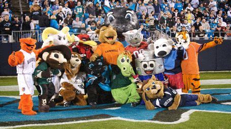 The Significance of Mascots in Soccer: A Look at Charlotte FC's Approach
